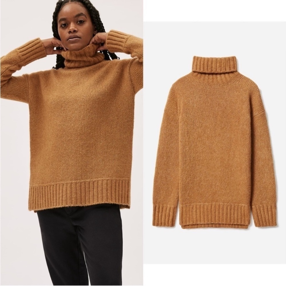 Everlane The Cloud Turtleneck Wool Alpaca Blend Chunky Knit Sweater